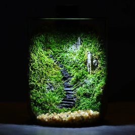 Microverse Hearth