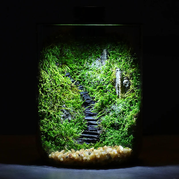 Microverse Hearth