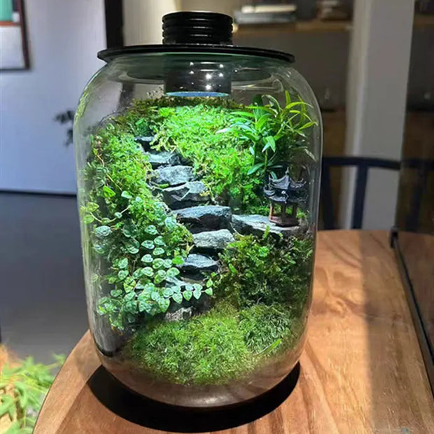 Terrarium Hearth