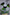 Microverse Hearth