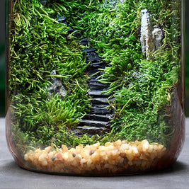 Microverse Hearth