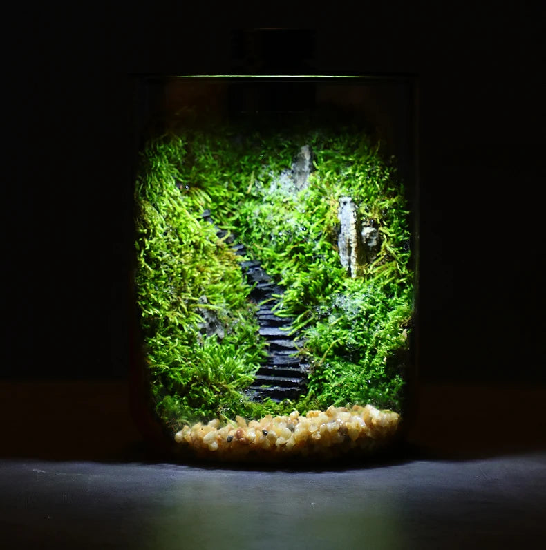 Microverse Hearth