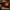 Hearth Flame